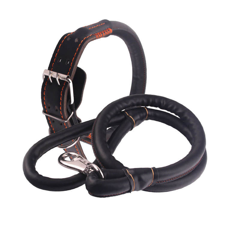 Soft Genuine Leather Pet Rope Dog Leash Collar – Vegan Leather Option – Small & Large Dog Leash Lead and Collar for Safety - Image 3