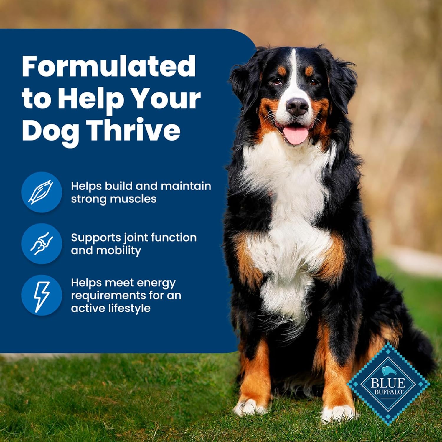 Blue Buffalo Life Protection Formula Adult Dry Dog Food – Helps Build and Maintain Strong Muscles – Made with Natural Ingredients – Chicken & Brown Rice Recipe – 30-lb. Bag - Image 4