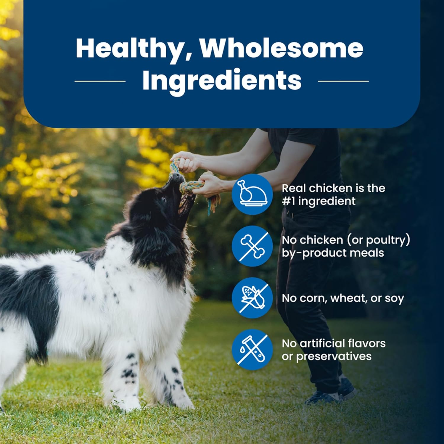 Blue Buffalo Life Protection Formula Adult Dry Dog Food – Helps Build and Maintain Strong Muscles – Made with Natural Ingredients – Chicken & Brown Rice Recipe – 30-lb. Bag - Image 5