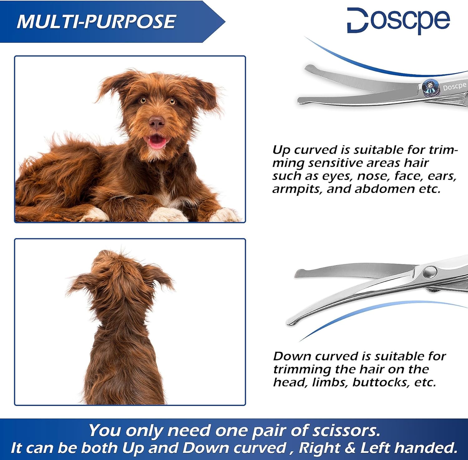 Curved Dog Grooming Scissors – 6.69 inches – Round Tips – Pet Shears for Face & Paw Hair Trimming – Left & Right Handed - Image 3