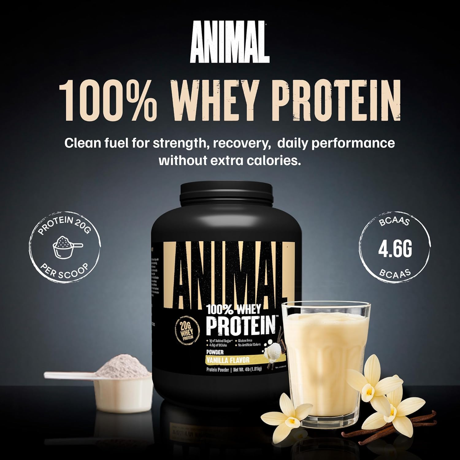 Animal 100% Whey Protein Powder – Whey Blend for Pre Workout or Post Workout, Recovery, or Anytime Low Sugar Protein Boost Meal Replacement with BCAA Branched Chain Amino Acids – Vanilla, 4 lb - Image 2