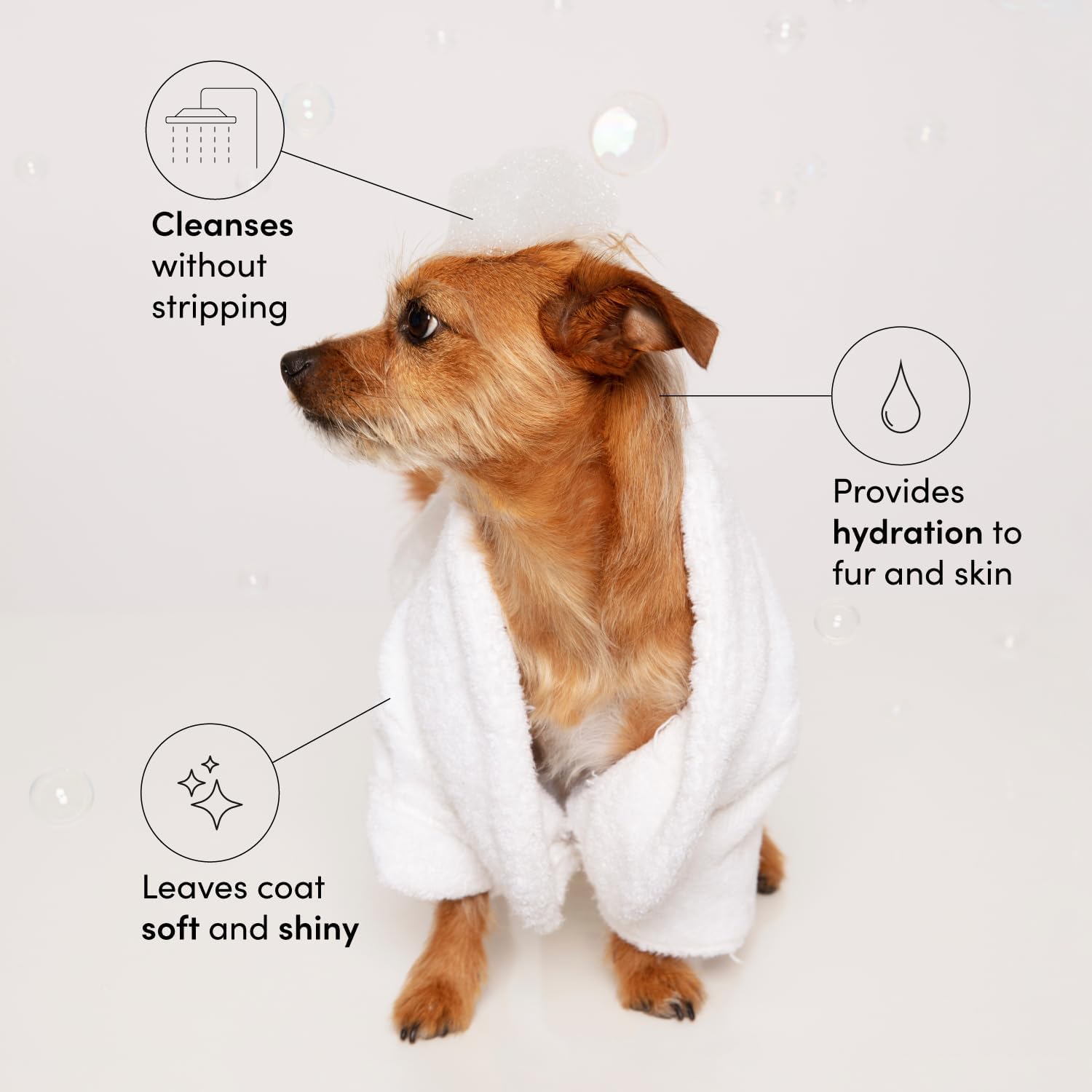 Fur Bébé Pet Shampoo – Vegan & Cruelty‑Free Cat & Dog Shampoo with Aloe Vera & Panthenol, Gentle Cleansing & Hydration (Mercer Street Scent) - Image 2