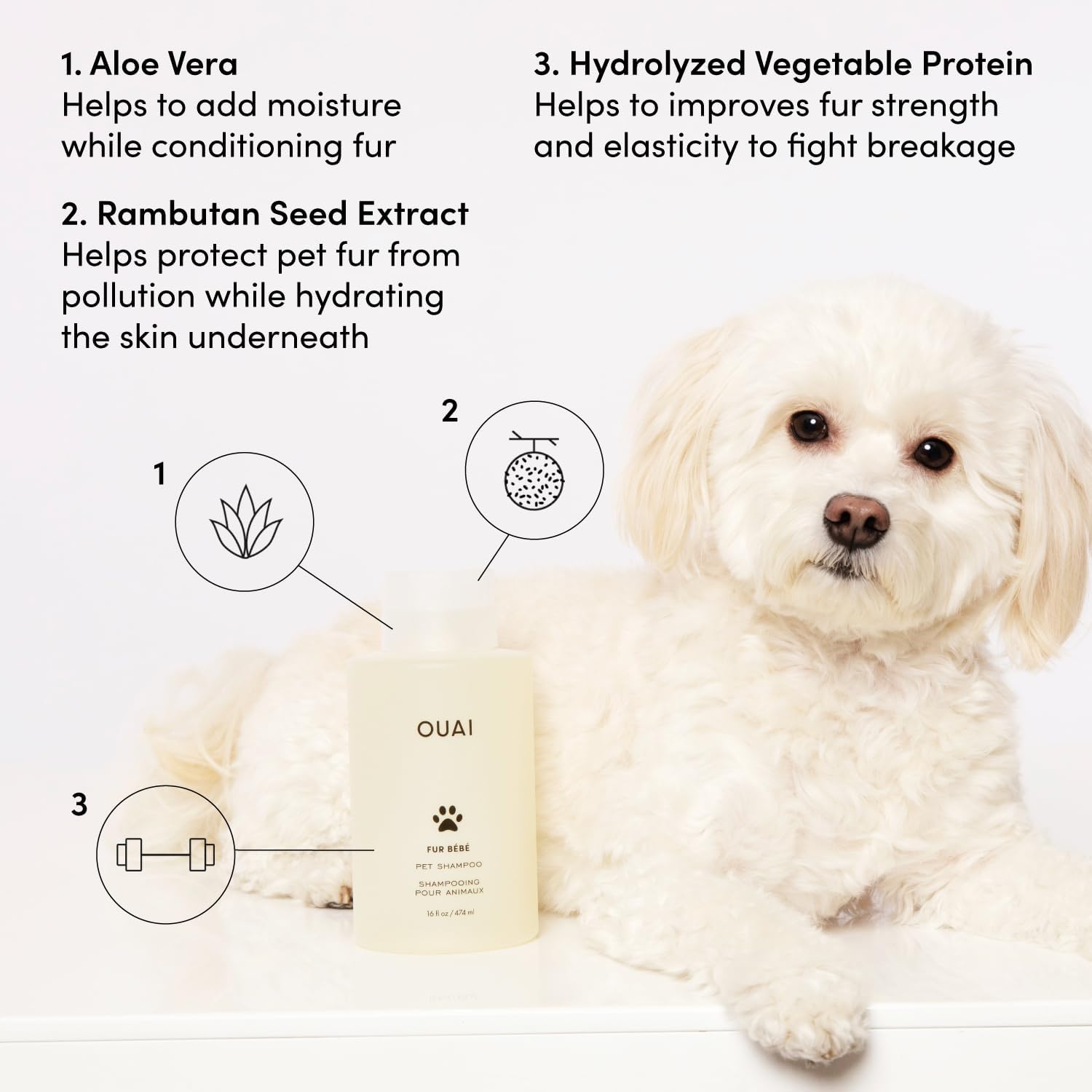 Fur Bébé Pet Shampoo – Vegan & Cruelty‑Free Cat & Dog Shampoo with Aloe Vera & Panthenol, Gentle Cleansing & Hydration (Mercer Street Scent) - Image 3