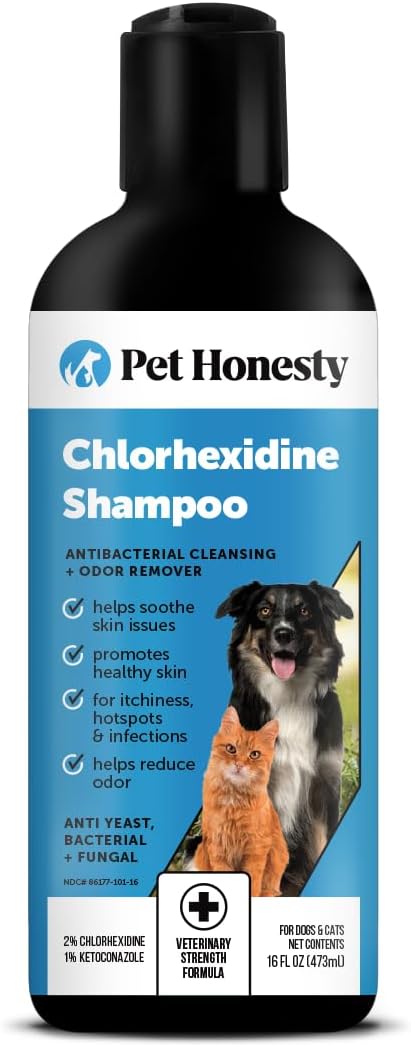 Chlorhexidine Cat & Dog Itch Relief Shampoo – Allergy, Hot Spot & Shedding Control, Skin & Coat Care, 16oz Grooming Supplies - Buy Online at SimraCart