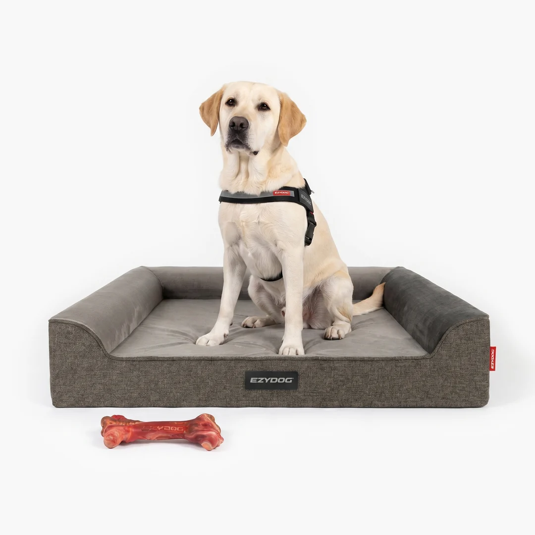 Dog Beds