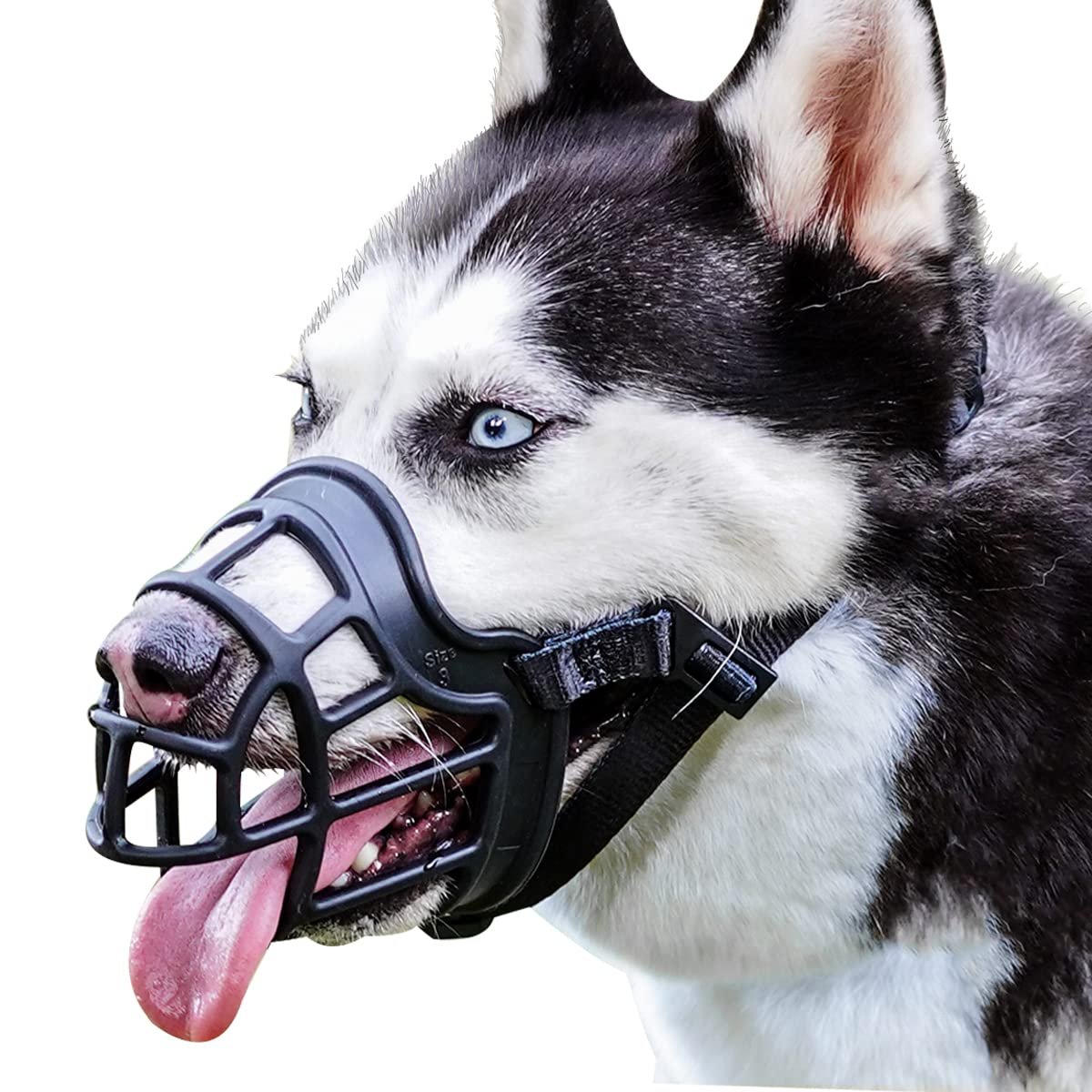 Dog Muzzles